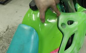 KAWASAKI KDX250SR DX250F