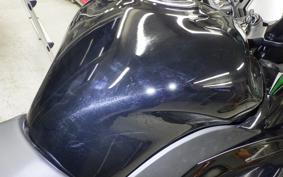 KAWASAKI NINJA 1000 SX 2024 ZXT02K