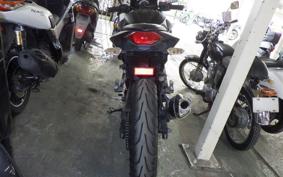 KAWASAKI Z250