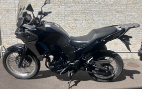 KAWASAKI VERSYS-X 250 ABS LE250D