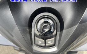 OTHER TORI CITY 300 2021