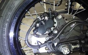 KAWASAKI W800 CAFE 2020 EJ800B