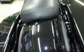 HARLEY FLTRX1920 2024