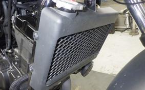 HONDA REBEL 250 2008 MC49