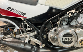 YAMAHA RZ250R 29L