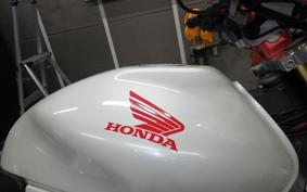 HONDA HORNET 250 2017 MC31