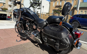 HARLEY FLSTCI 100TH 2003 BWB