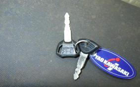 KAWASAKI Z125 PRO 2023 BR125H