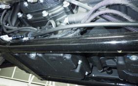 HARLEY FXLRST1920 2025