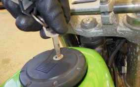 KAWASAKI KLX250 2006 LX250E