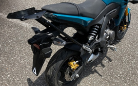 KAWASAKI Z125 PRO BR125H
