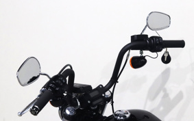 HARLEY FXBB 2019 YJJ