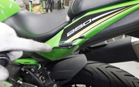 KAWASAKI NINJA 250 SL 2026