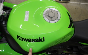 KAWASAKI NINJA ZX-6R 2010