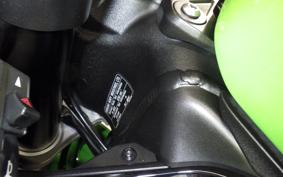 KAWASAKI NINJA ZX-6R A 2019 ZX636G