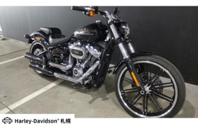 HARLEY FXBRS 2022 YHK