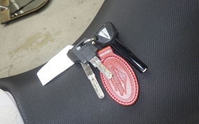 KAWASAKI NINJA 250 2021 EX250Y