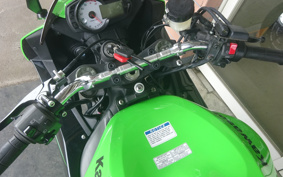 KAWASAKI NINJA ZX-6R 2010 ZX4R18