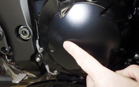 KAWASAKI NINJA 1000 SX 2025 ZXT02K