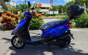 YAMAHA AKUSHI STREET SE53J