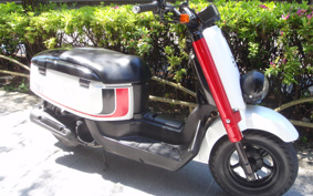 YAMAHA VOX Deluxe SA52J