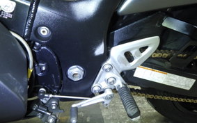 SUZUKI GSX1300R HAYABUSA 2002