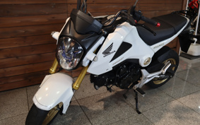 HONDA GROM JC61