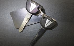 KAWASAKI W800 CAFE 2021 EJ800B