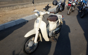 HONDA LITTLE CUB AA01