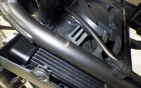 HONDA REBEL 250 A MC49