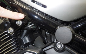 KAWASAKI Z900RS 2023 ZR900K