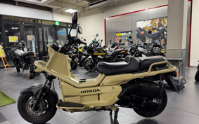 HONDA PS250 MF09