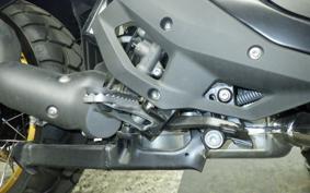 BMW R1300GS ASA 2025