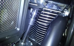 HARLEY FLTRX1920 2025