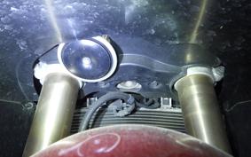 SUZUKI HAYABUSA Gen.2 2020
