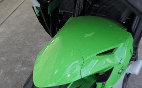 KAWASAKI ZX-4RR 2024 ZX400P