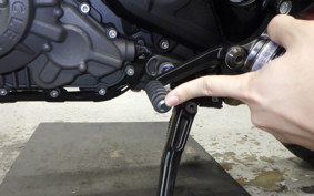 INDIAN FTR1200R carbon 2021