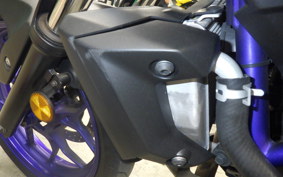 YAMAHA MT-25 2022 RG10J