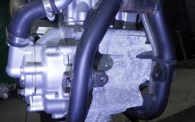 YAMAHA WR250X 2020 DG15J