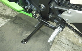 KAWASAKI ZX-4RR 2025 ZX400P