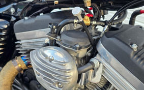 HARLEY HARLEY XL883C 2004 CJM