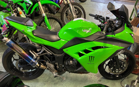KAWASAKI NINJA 250 EX250L