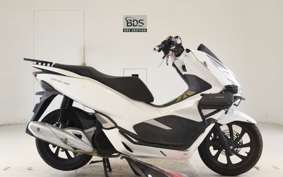 HONDA PCX 125 JF81
