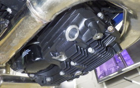 BMW HP2 MEGAMOTO 2008