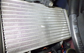 HONDA CBR250R A 2024 MC41