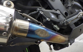 KAWASAKI NINJA 250R EX250K