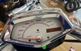 HONDA VT1300CX 2010 SC61