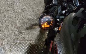 HARLEY XL1200X 2021 LC3