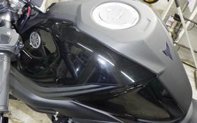 YAMAHA MT-25 2012 RG10J