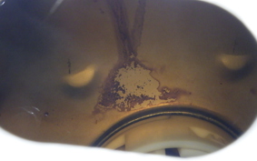 KAWASAKI Z250 SL BR250E